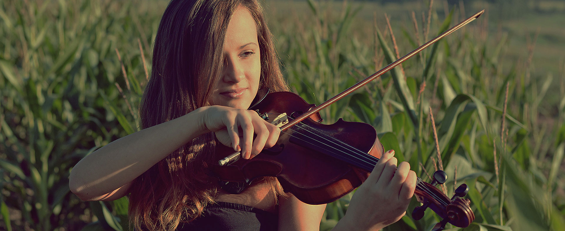 Запад музыка фото. Girl playing the Violin at Sunset in Paris. Пой со мною пой музыка